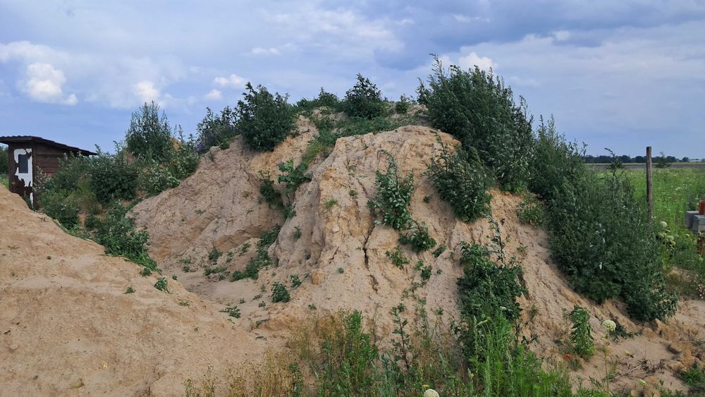 oddam ziemie, zapraszam