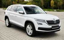 Skoda Kodiaq TDI 4x4 Business DSG 2019