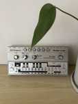 Roland TB-303 syntezator