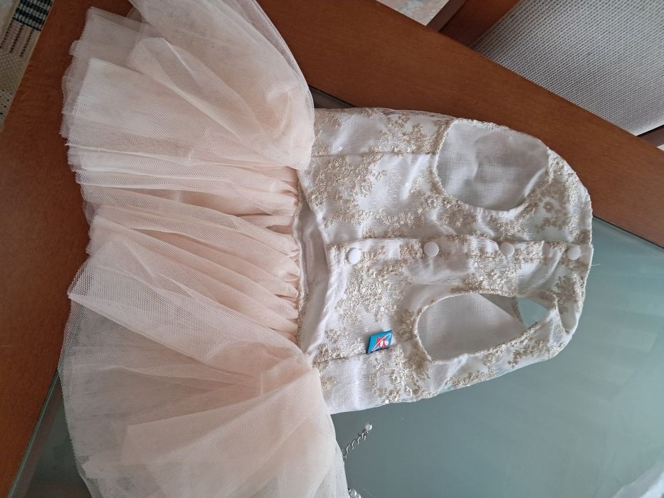 2 Roupinhas de cerimónia para cadelinhas