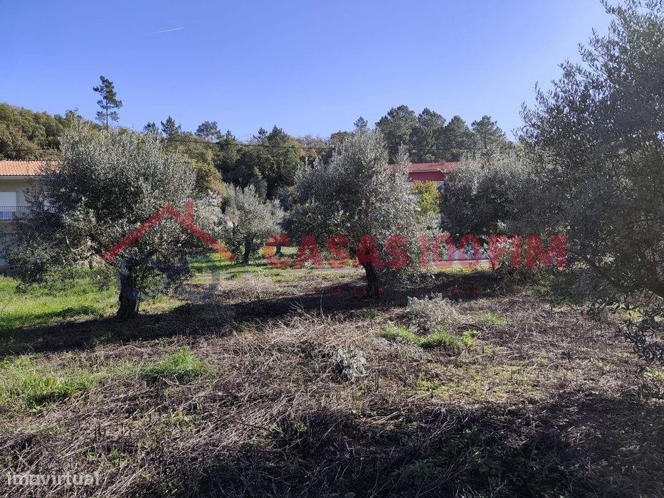 Terreno Rústico entre Casas