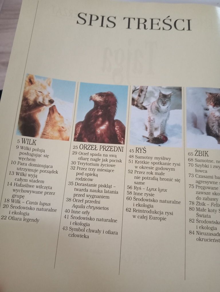 Tajga - encyklopedia dzikich zwierząt