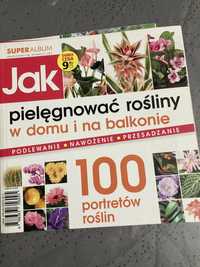 Jak pielęgnować rośliny w domu i na balkonie