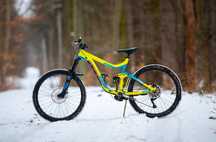 Giant Reign 2 LTD 2016