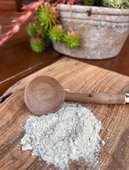 Soplówka jeżowata sproszkowana - puder grzybowy