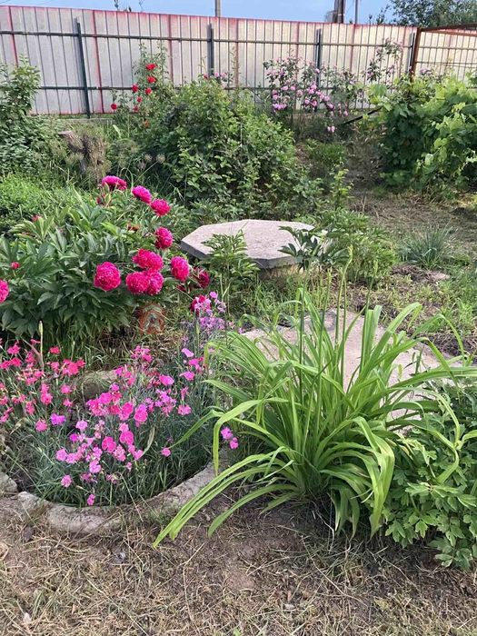 Будинок с.Вільна Тарасівка, Білоцерківського р-н,Без %