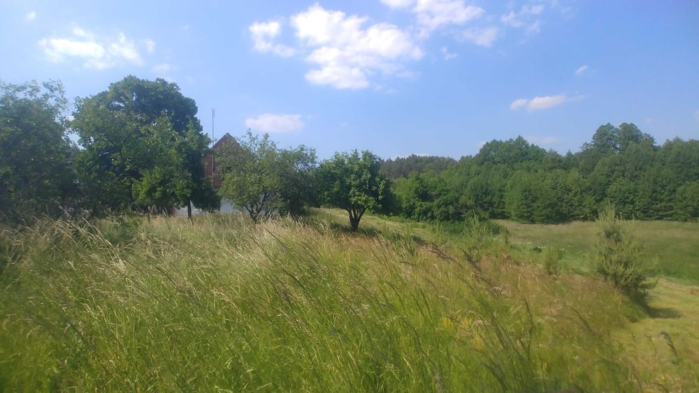 Działka 3,94ha w środku lasu z małym stawem tylko 14zł/m2