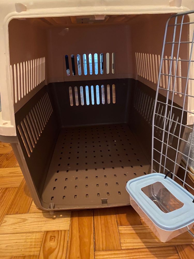 Caixas transportadoras para cães
