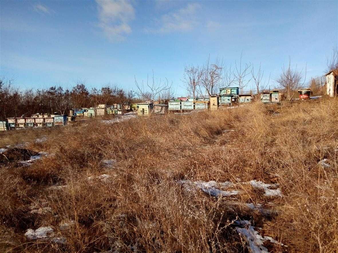 Продам пасеку с землёй домиком для качки мёда.Есть водопровод.