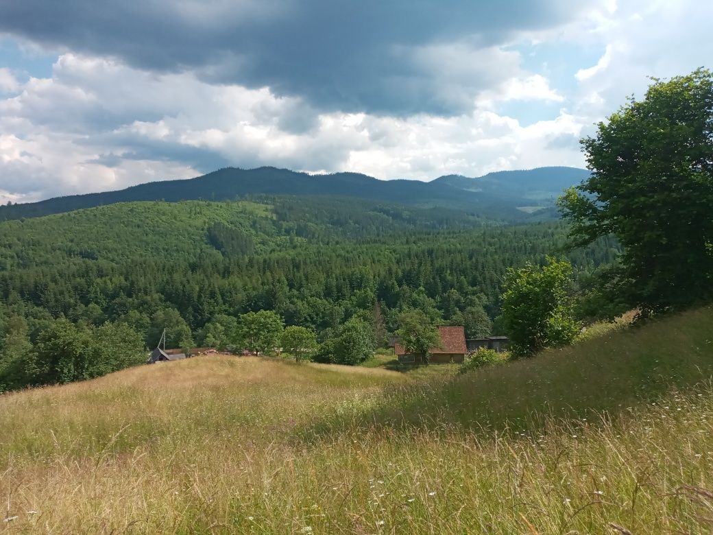 Земельна ділянка с. Чорна Тиса (новий буковель)