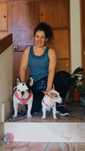 Pet setting, Hospedagem e creche para cães