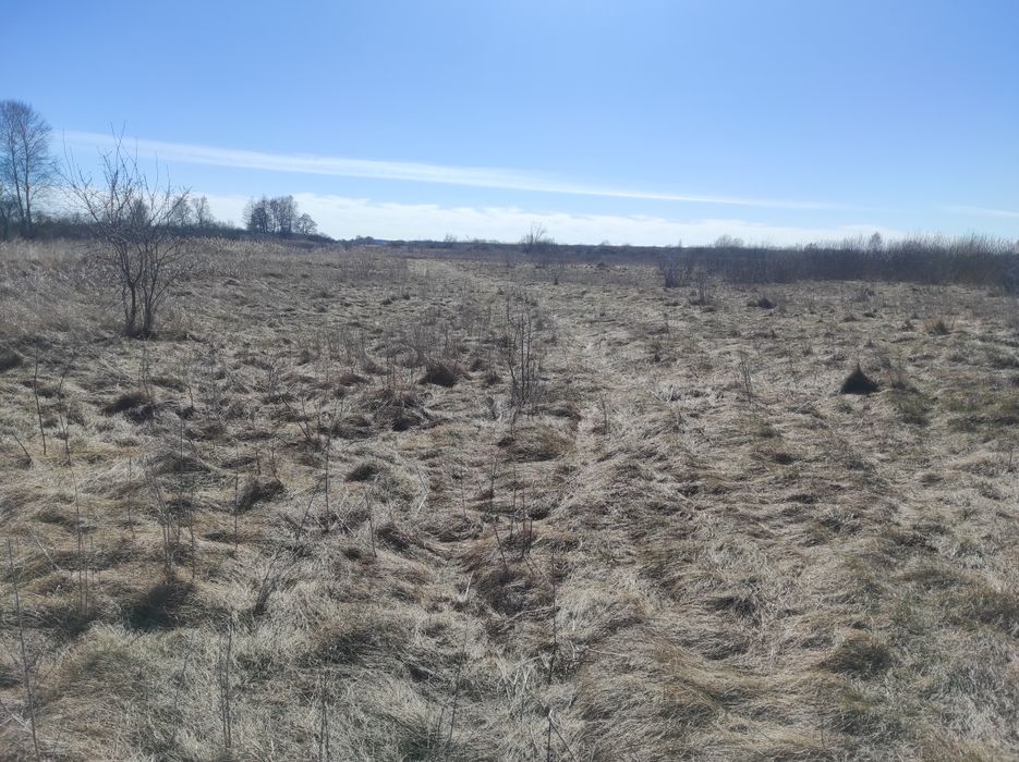 Земельна ділянка ОСГ