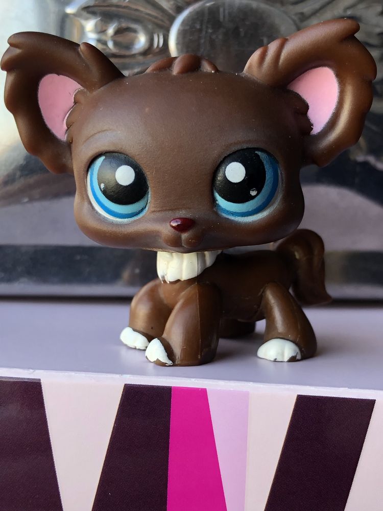 Littlest Pet Shop figurka pies piesek chihuahua lps pop dog collie