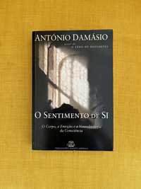 “O Sentimento de Si”, António Damásio