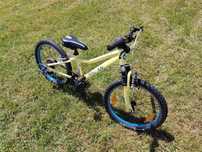 Giant Liv Echat 20 cali