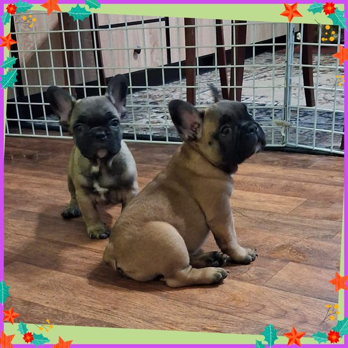 Неймовірні малятка