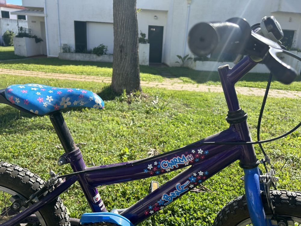 Bicicleta com rodinhas 14’