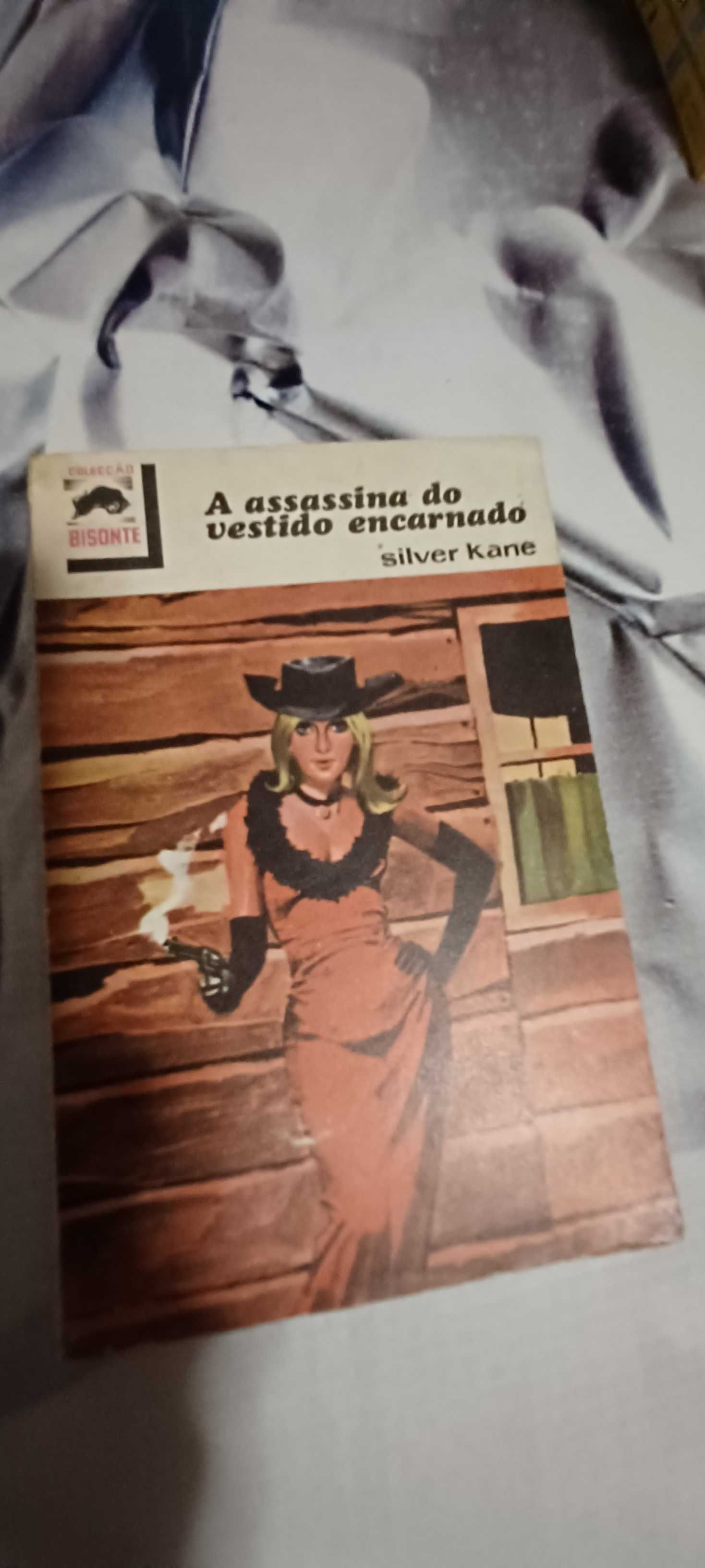 Livro _A Assassina do Vestido Encarnado_ de Silver Kane