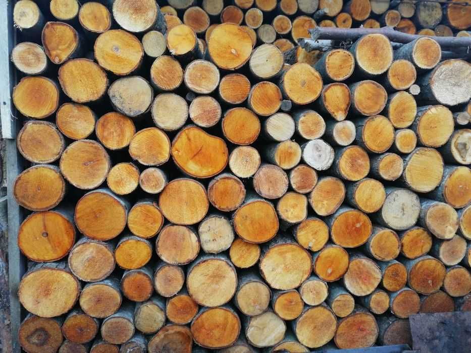 Drewno opałowe różnego rodzaju pocięte