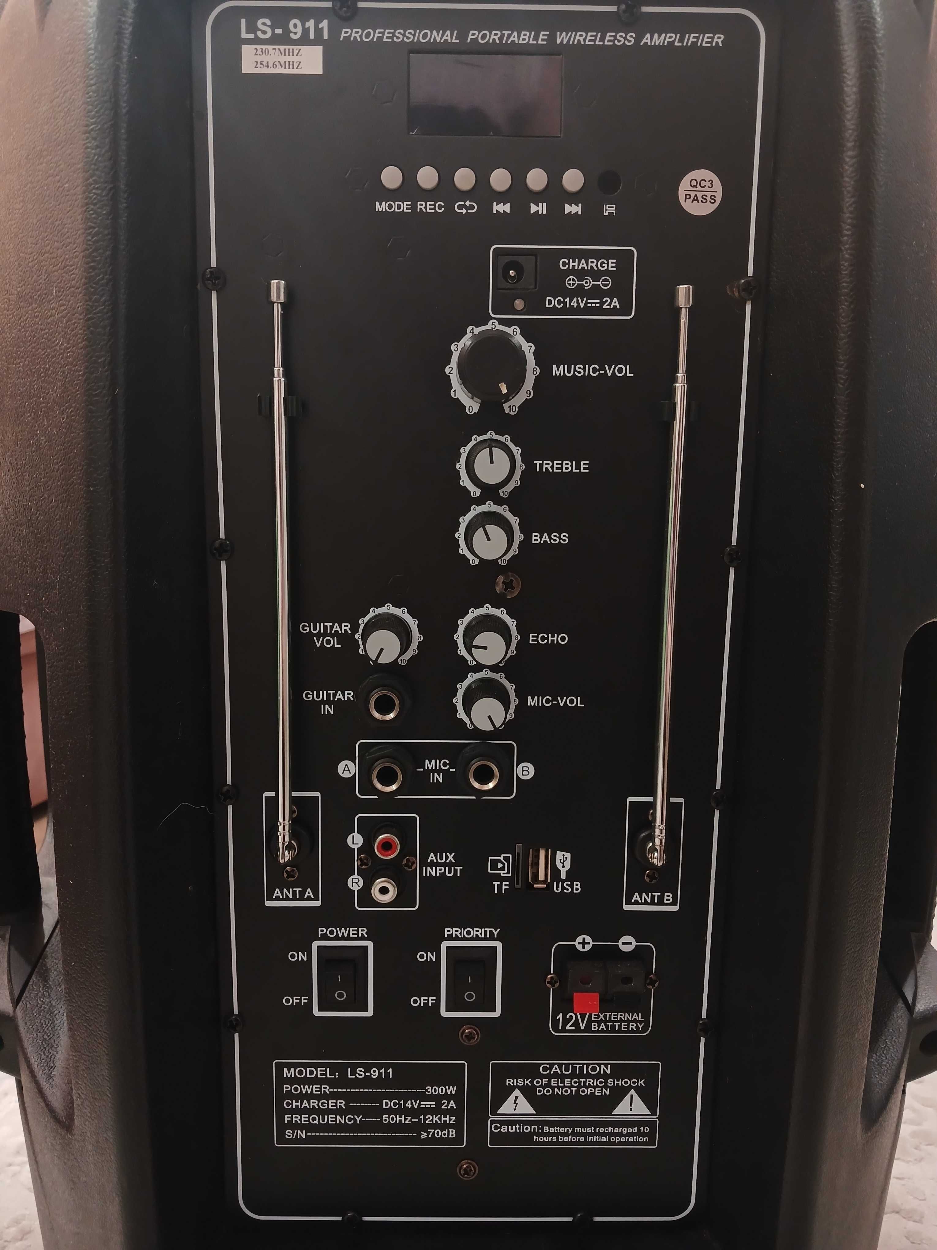 Колонка Sound King LS-911 з мікрофонами