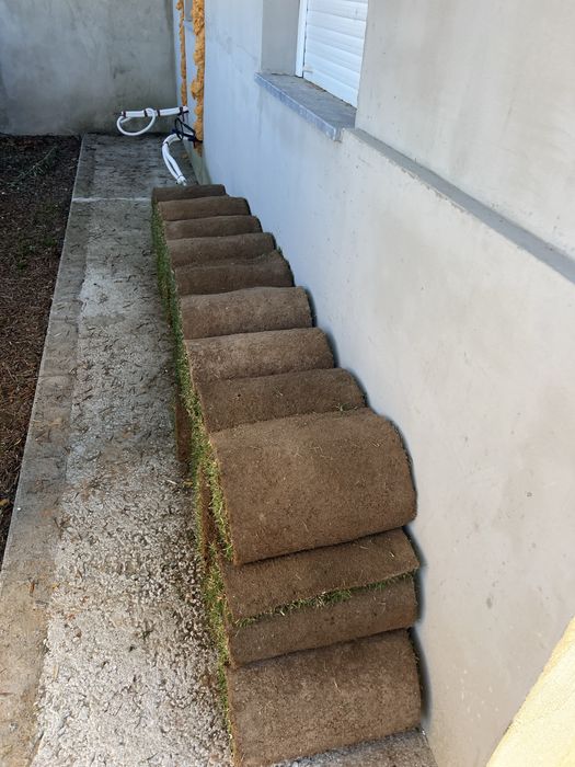 relva natural em tapete