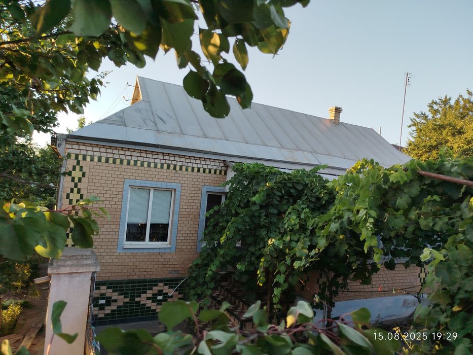 Два Будинка в Новій Одесі