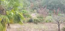terreno Amarante