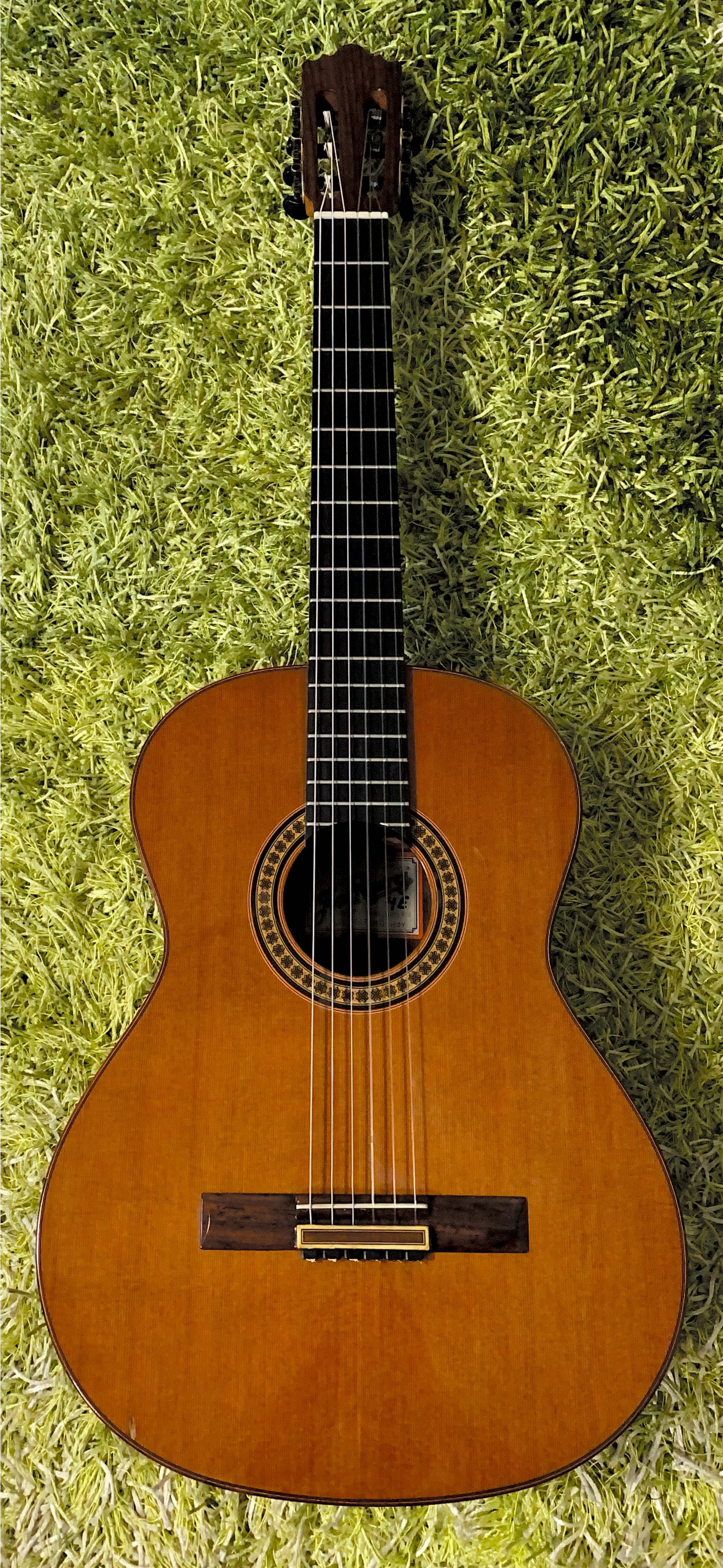 Guitarras especiais e raras
