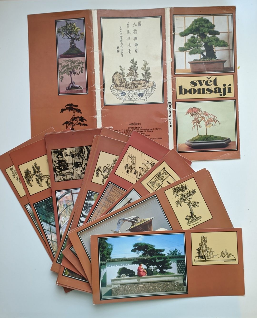 Pack postais vintage sobre Bonsai do Japão