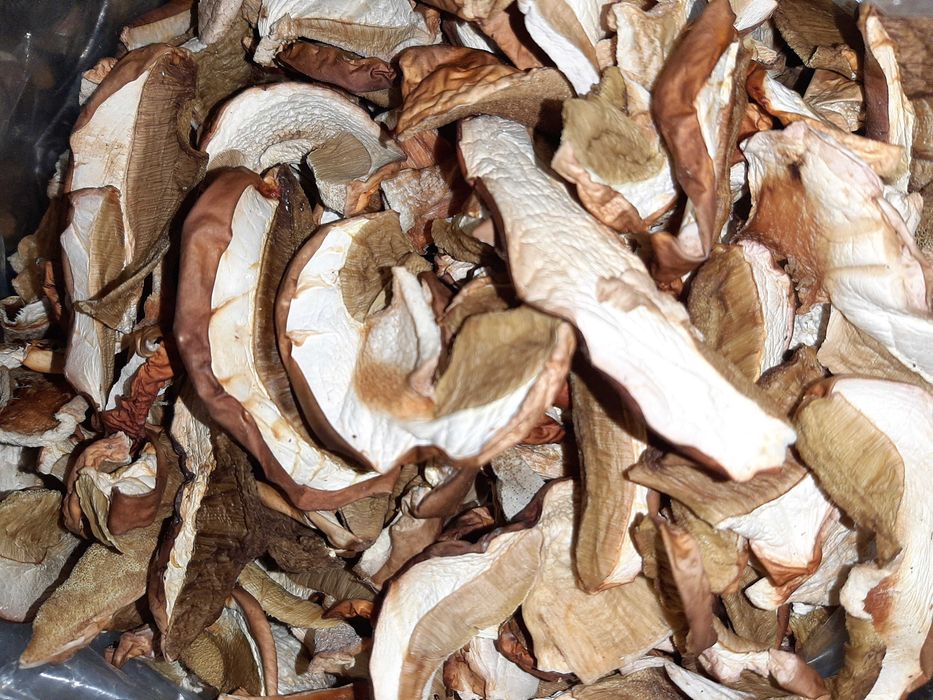 Grzyby suszone prawdziwki