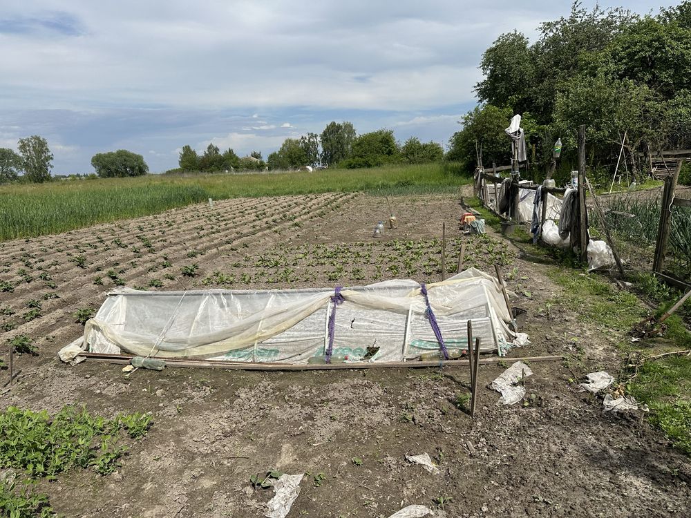 Продається будинок в с. Олишівка