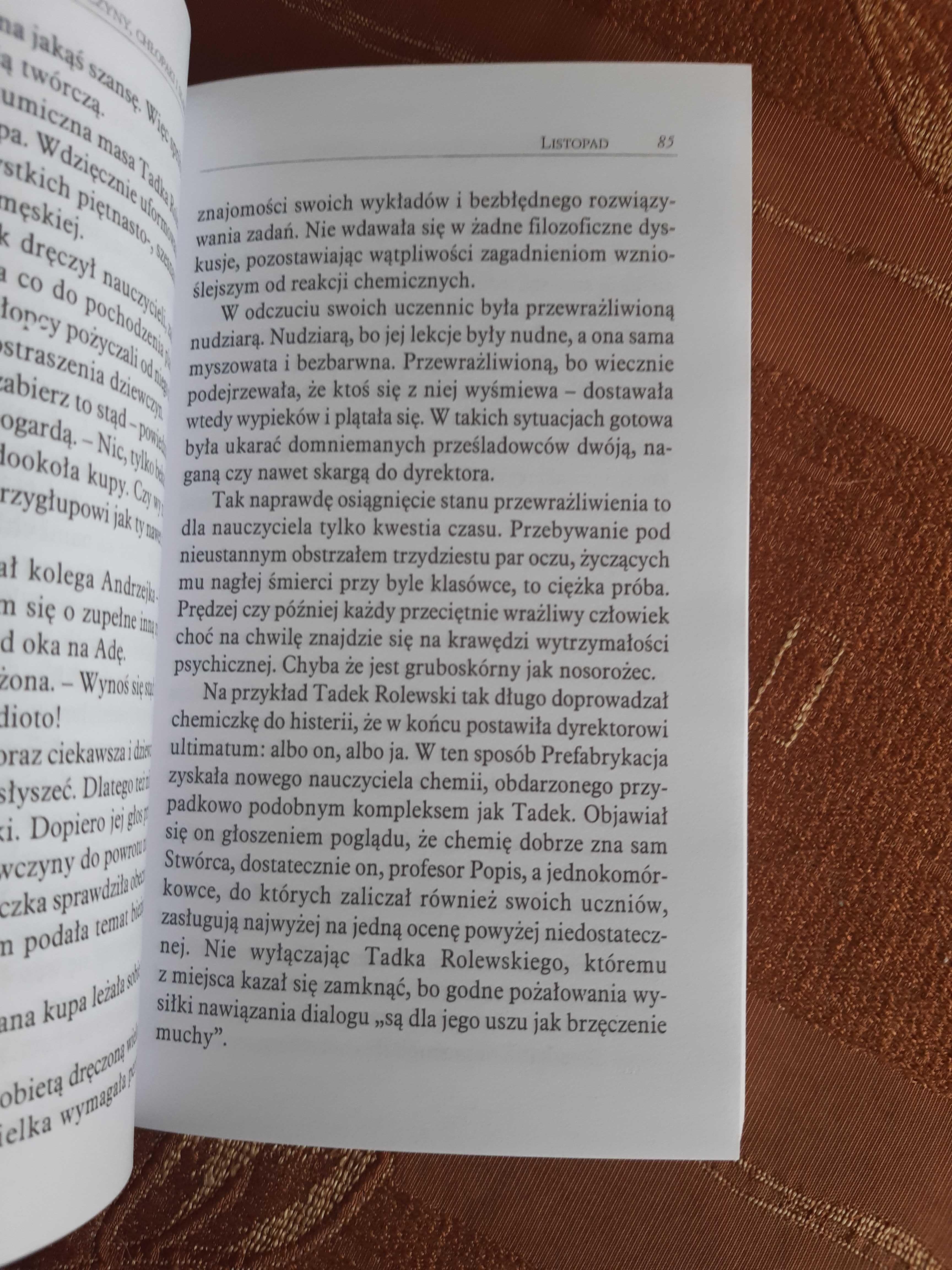 Ewa Zienkiewicz "Dziewczyny chłopaki i skarb"