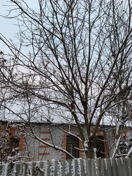Продам дом на Большой Даниловке