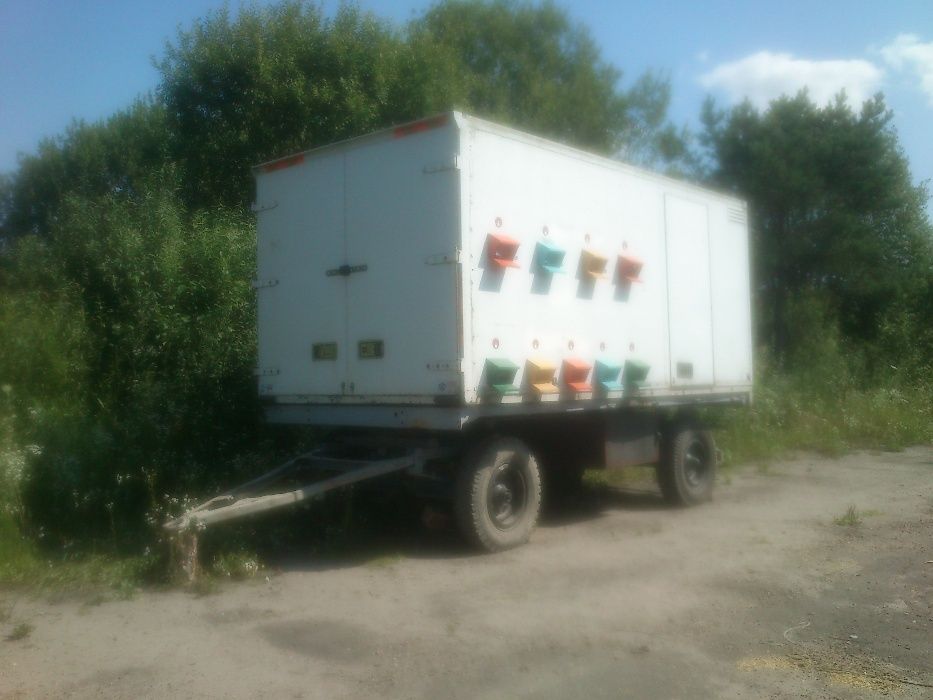 Бджолопавільйон з бджолами