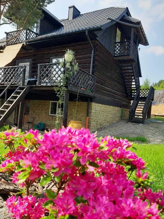 Wyjątkowy apartament