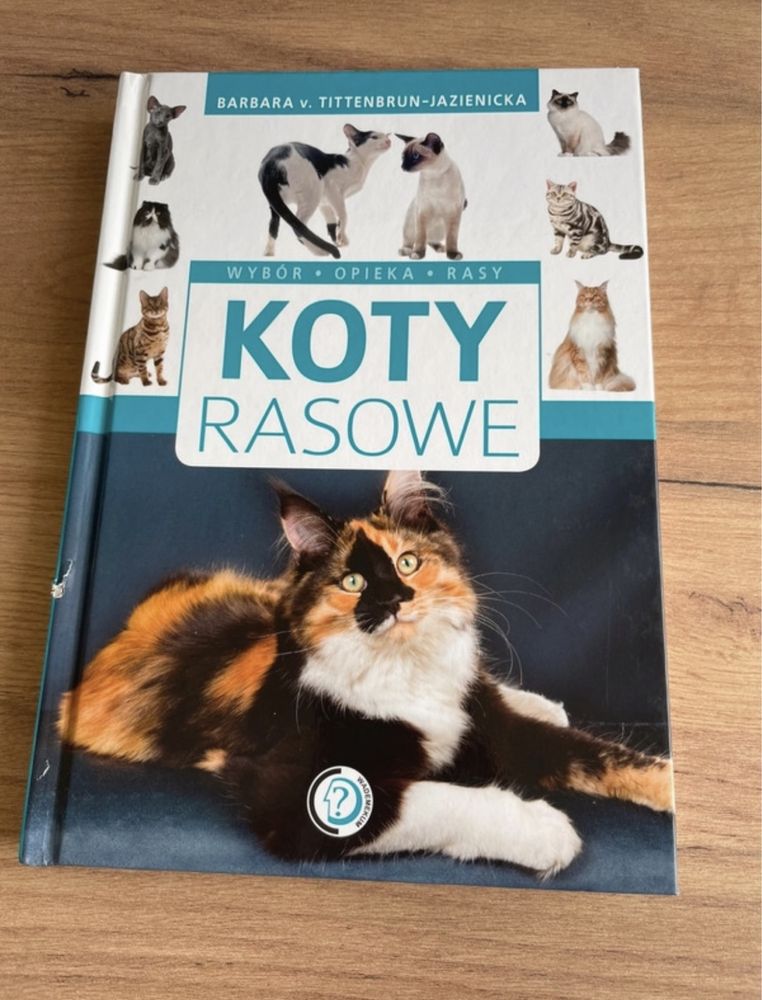 książka dla dzieci o kotach