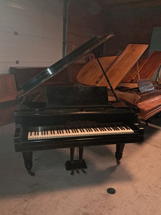 Witam mam do sprzedania fortepian