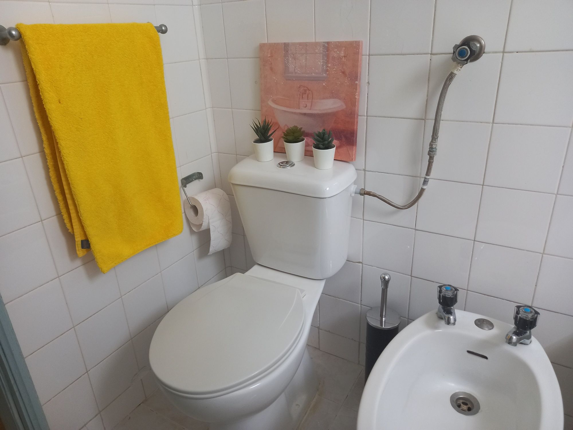 Aluguer temporário de casa em Vila Viçosa