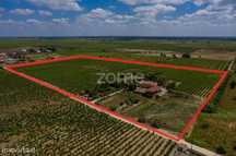 Herdade D. Alda - vinhas prestigiadas e premiadas!