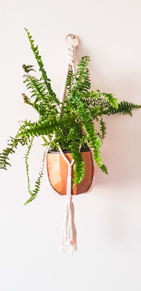 Suporte para Plantas em Macramé