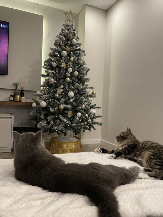 Arvore de natal com efeito de neve 210cm