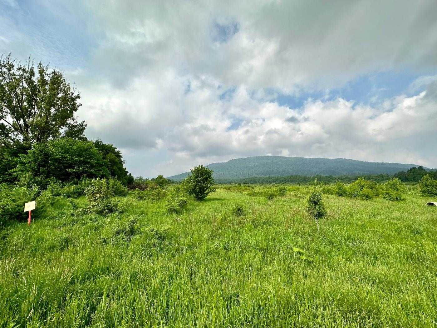 Земля, комерція, Дубина, Сколе, Карпати, Львів