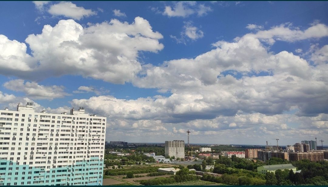 Без комісії. Видова евродрушка на Теремках