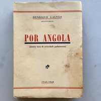 Henrique Galvão, Por Angola 1944 a 1949 (actividade parlamentar)