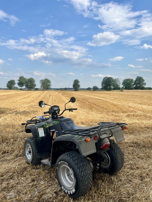 Quad //Bashan//250//Wał kardana// DOKUMENTY// TRANSPORT//Linhai,Loncin