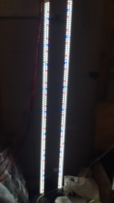 Lampa LED, Oświetlenie LED do akwarium na zamówienie (100cm)