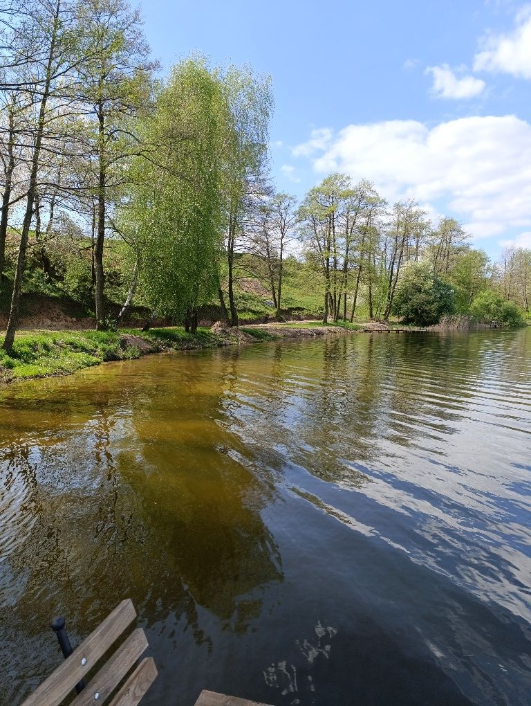 Działka na wynajem nad Jeziorem Lubotyń/pole kemping i namiotowe