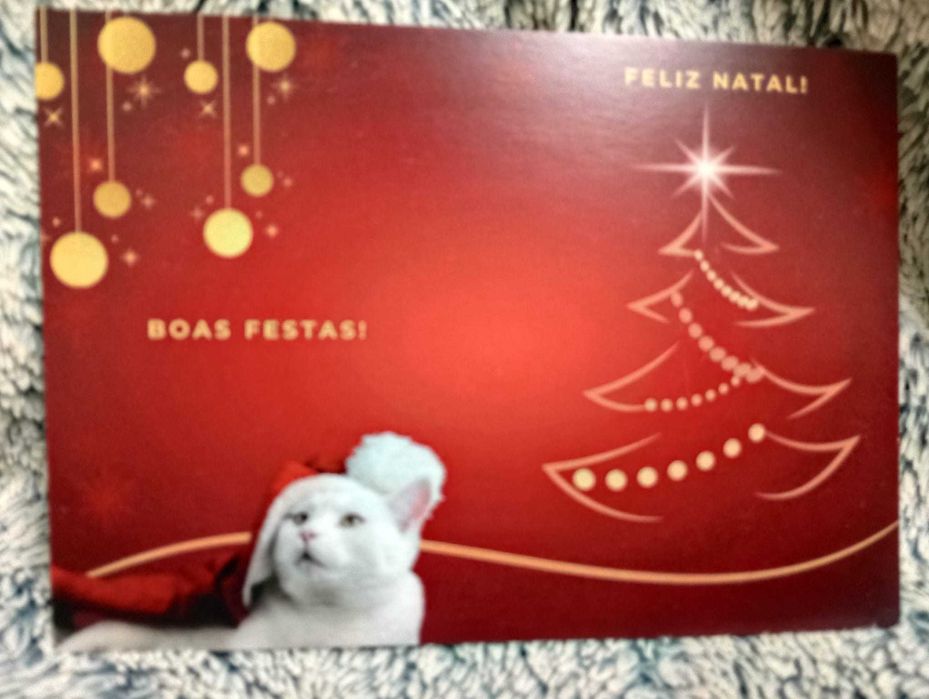 Postais de Natal - 3 designs diferentes