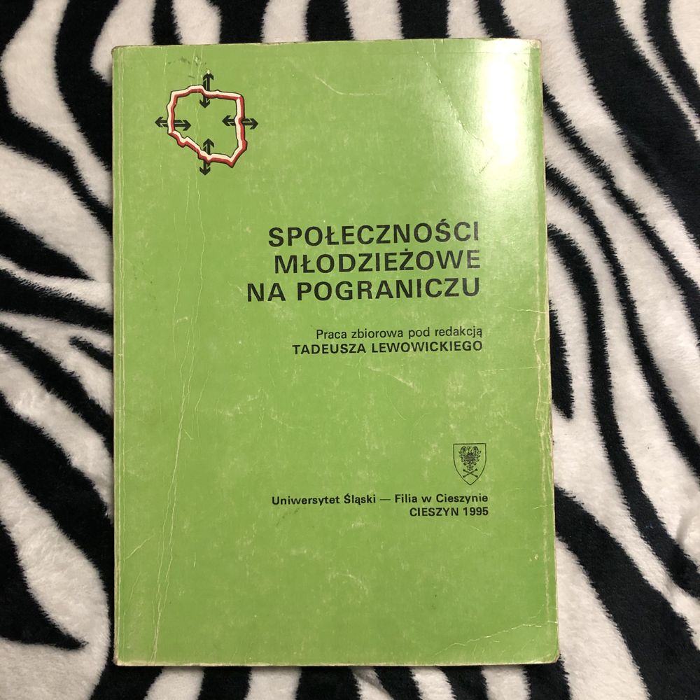 Ksiazka spolecznosci mlodziezowe na pograniczu tadeusz lewowicki