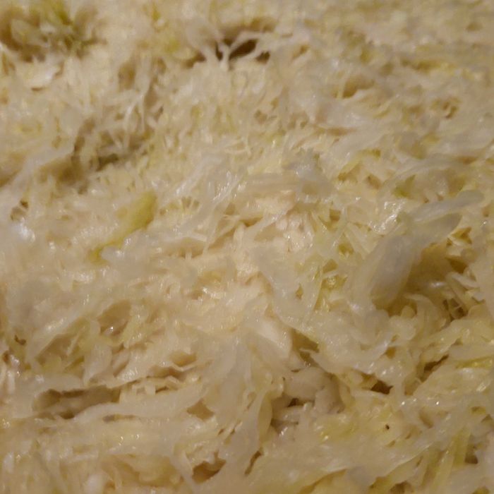 Kapusta kiszona bez konserwantów oferta hurtowa